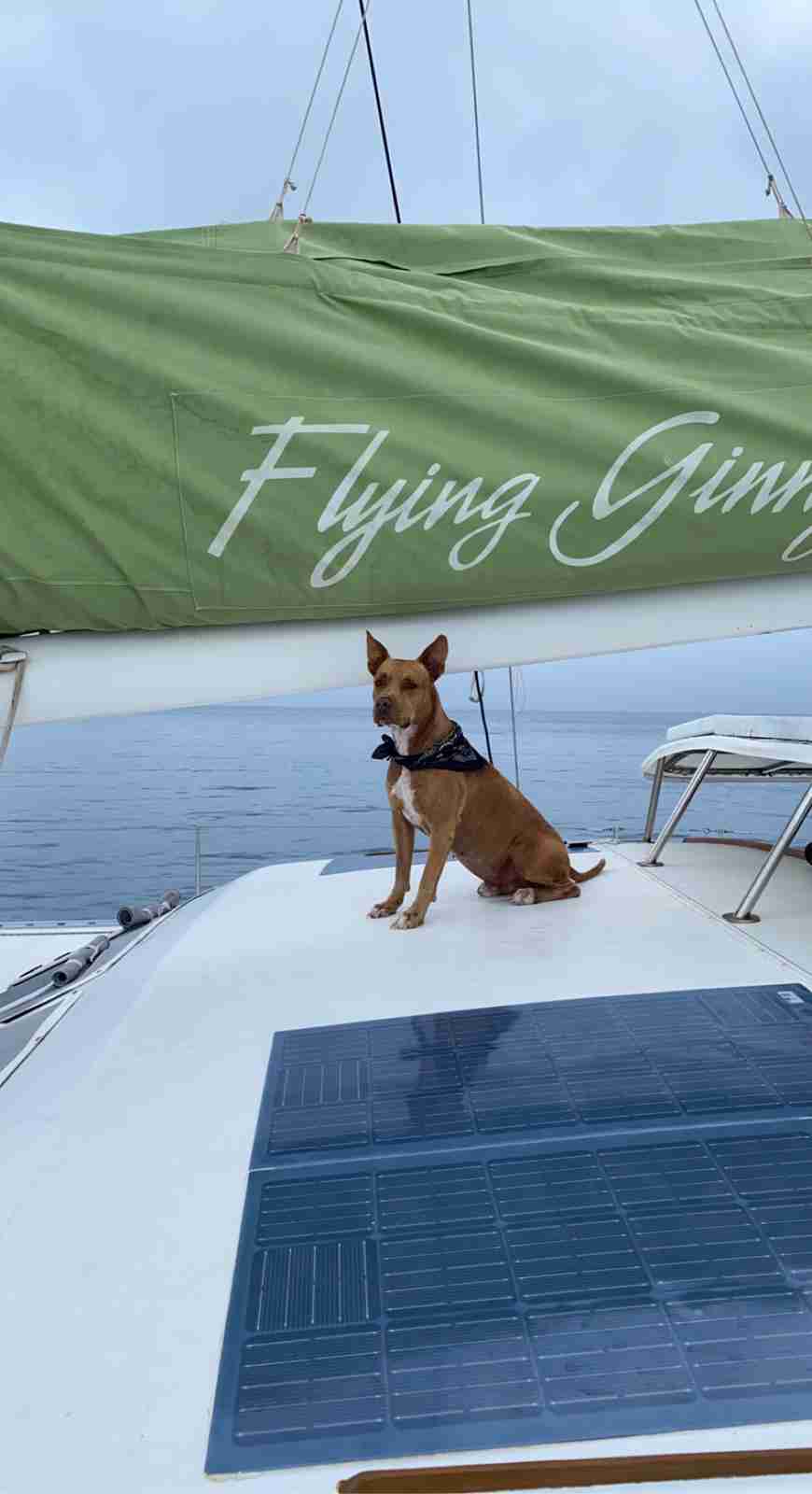 flying-ginny-alquilar-catamaran-islas-san-blas-28